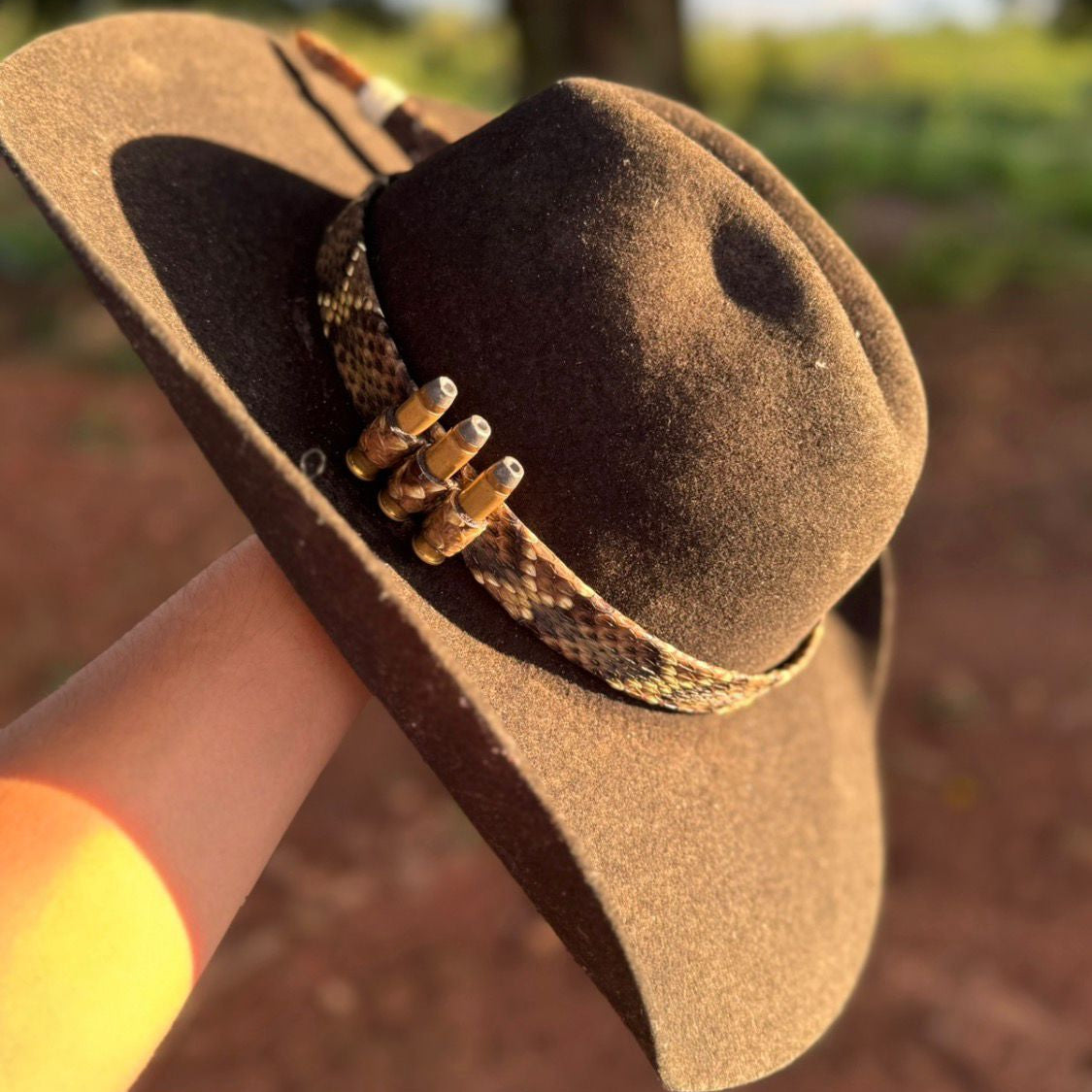 BANDINHA DE CASCAVEL CASCA DE BALA