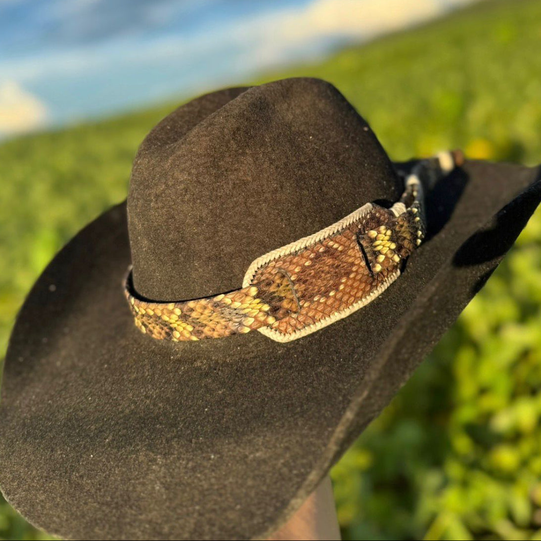 BANDINHA DE CASCAVEL CASCA DE BALA